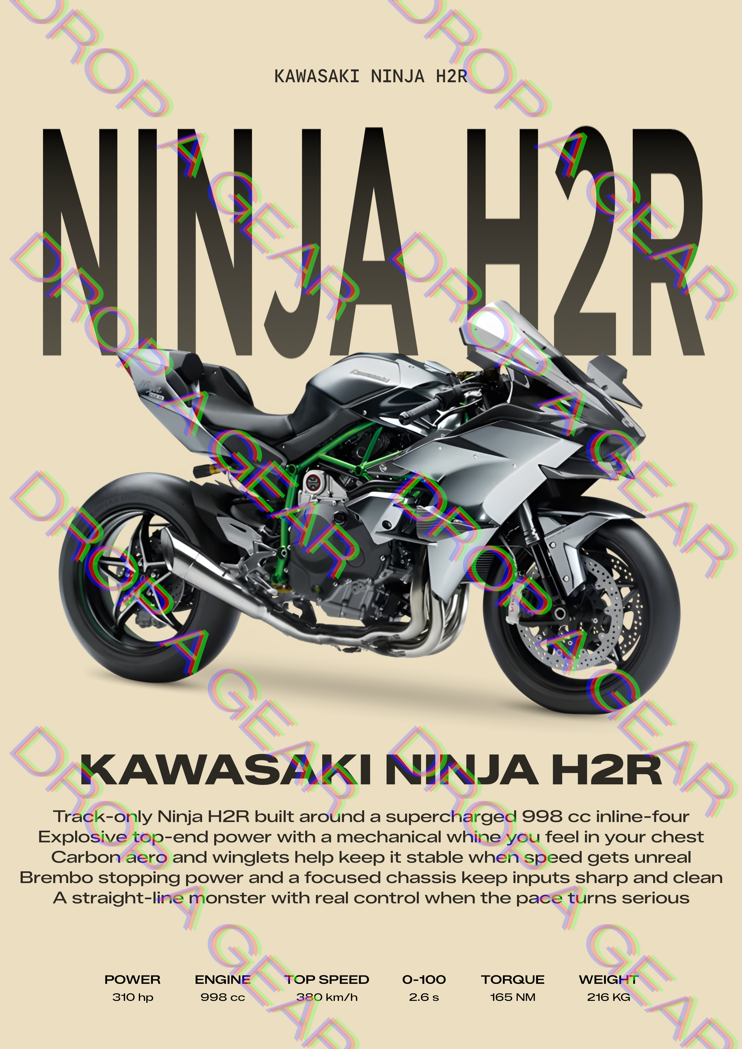 Kawasaki Ninja H2R Backprint Hoodie - Spec Card