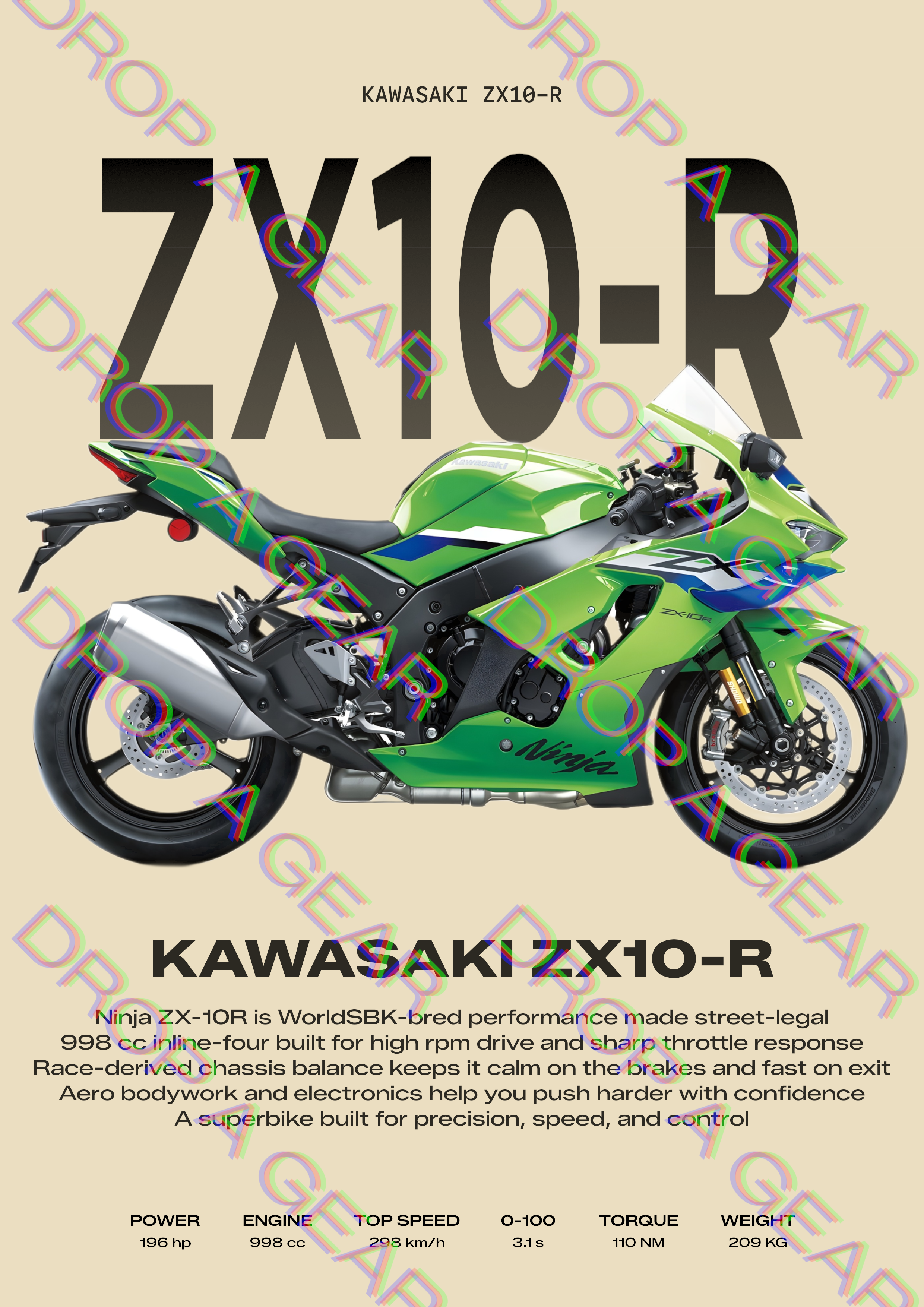 Kawasaki Ninja ZX-10R Backprint Hoodie - Spec Card